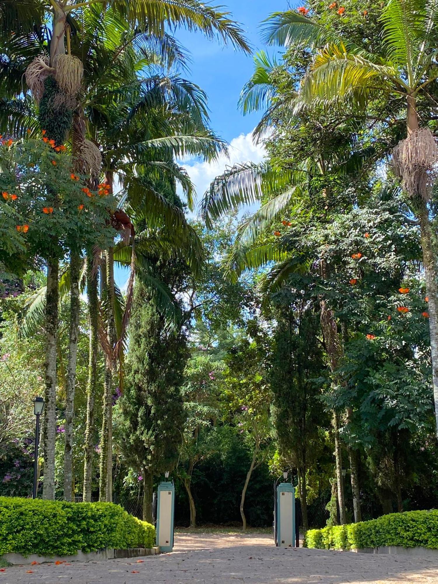 Limoeiro Da Concordia Hotel Fazenda De Charme Cabreuva Luaran gambar